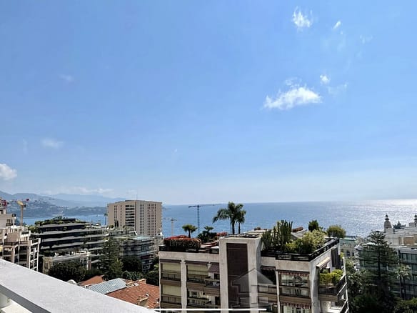 2 Bedroom Apartment in Monaco 30