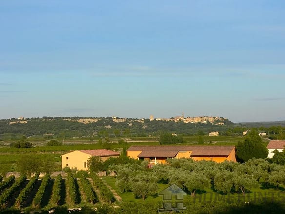 Vineyard in Nimes 36