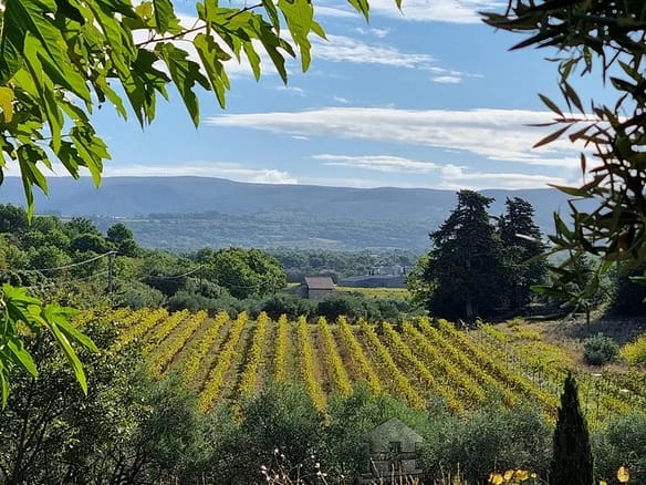 4 Bedroom Vineyard in Avignon 30