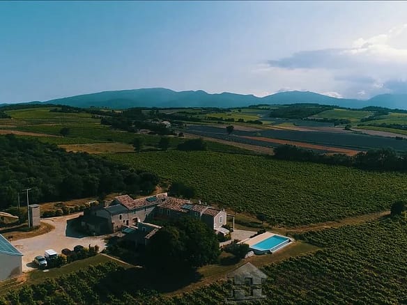 Vineyard in Orange 22