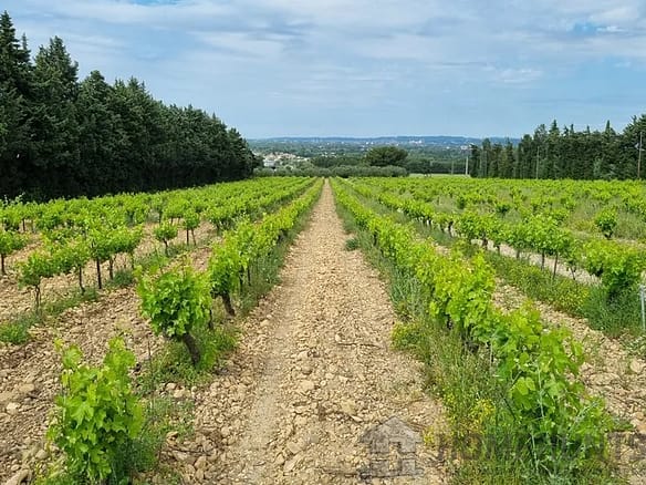 6 Bedroom Vineyard in Avignon 20