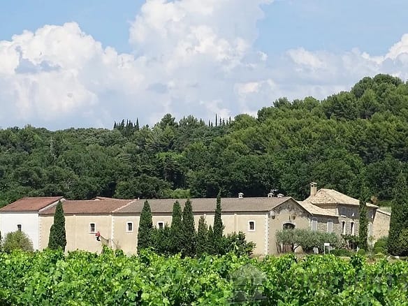 Vineyard in Bollene 16
