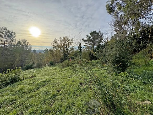 Land in Opio 7