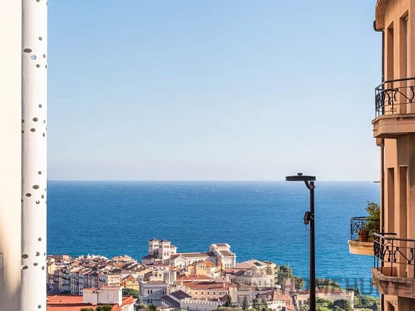 3 Bedroom Apartment in Monaco 9