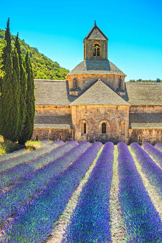 Abbey of Senanque