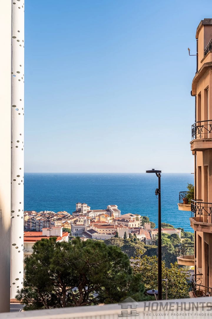 3 Bedroom Apartment in Monaco 19