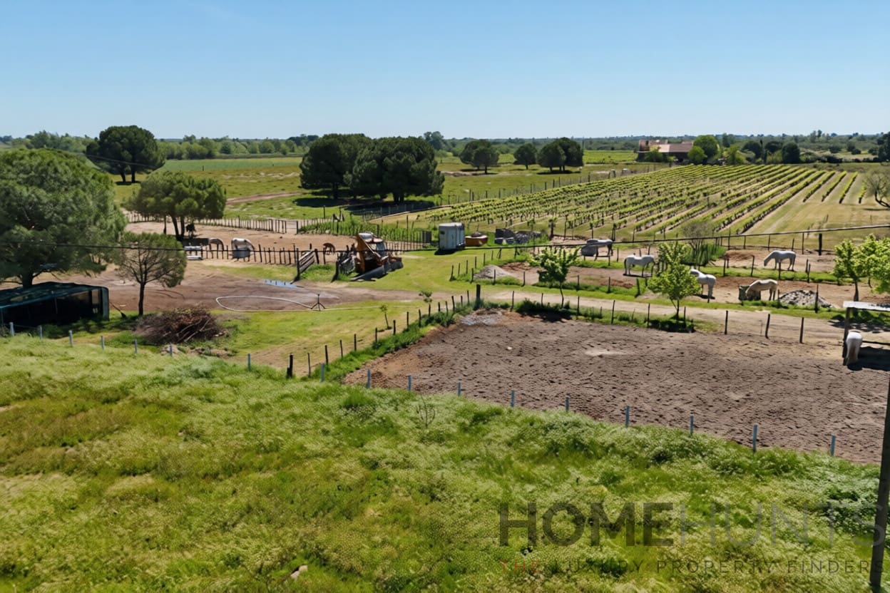 property_HH-16161443-15