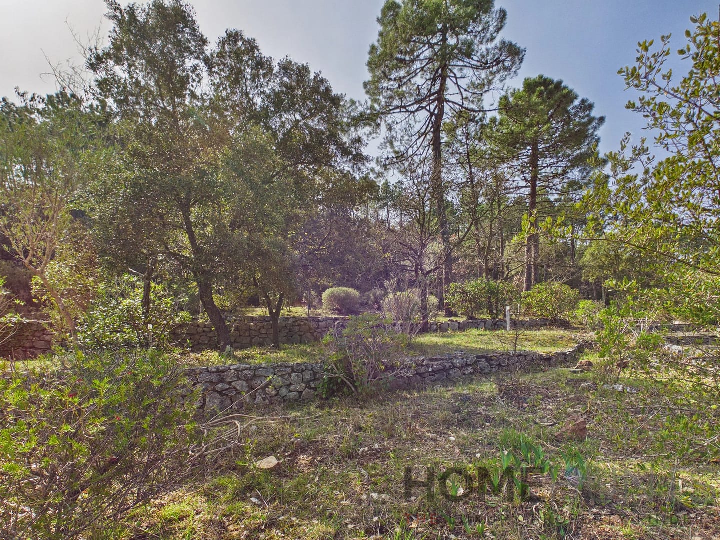 property_HH-16116968-3