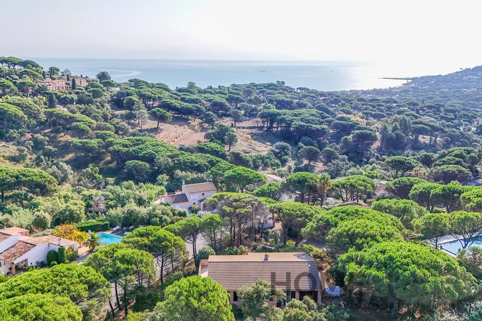 property_HH-16068990