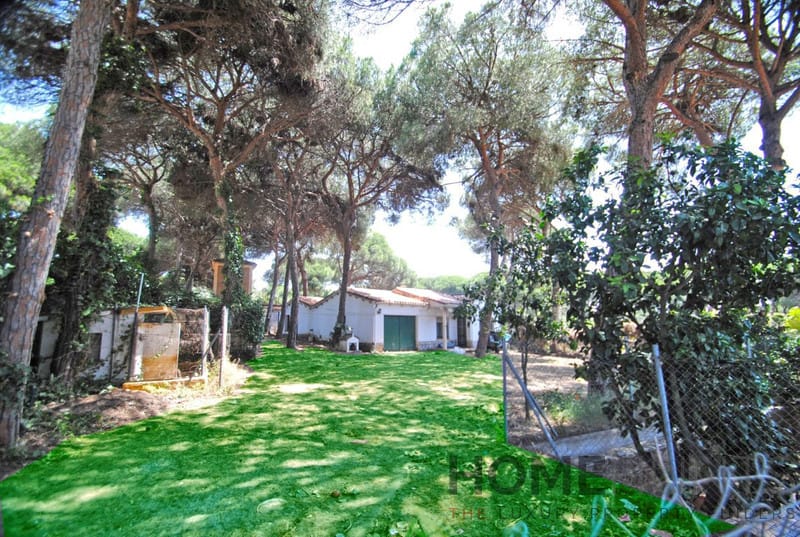 property_HH-15643498-24