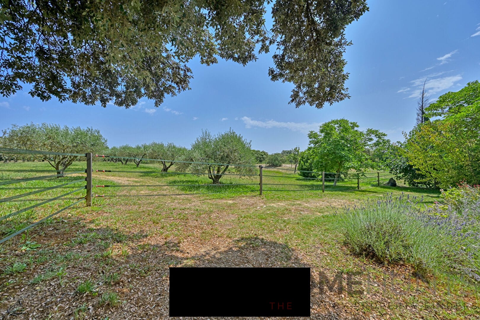 property_HH-16069029-5