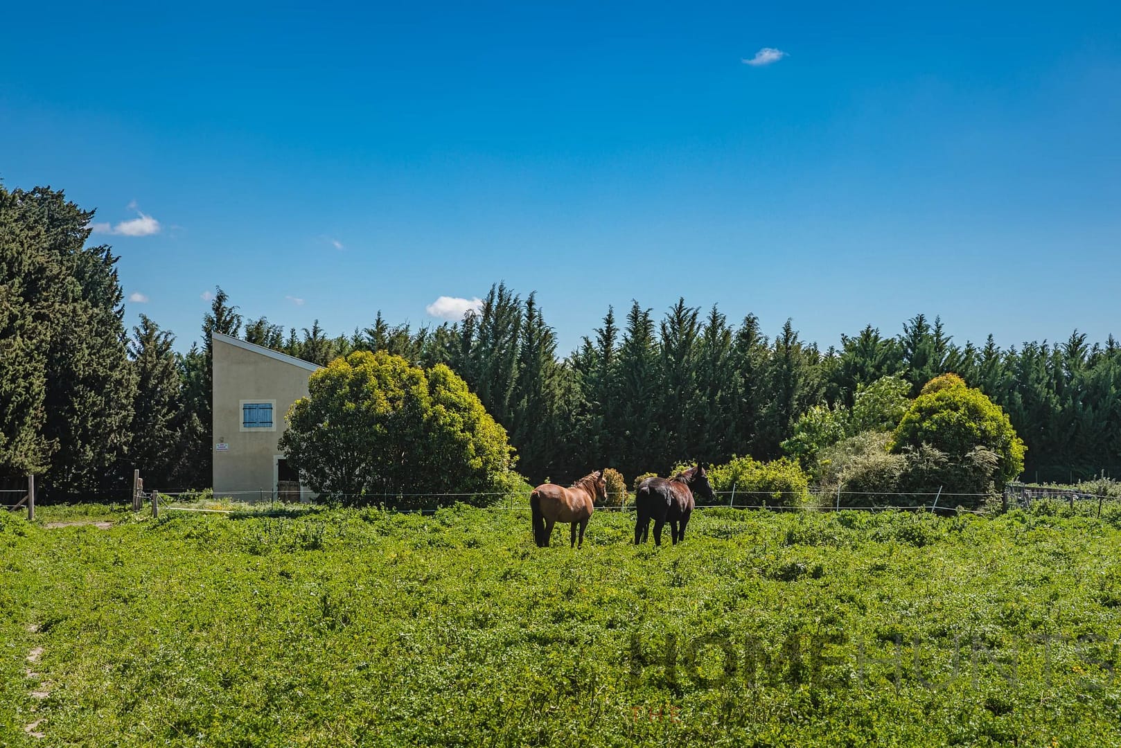 property_HH-15362895-10