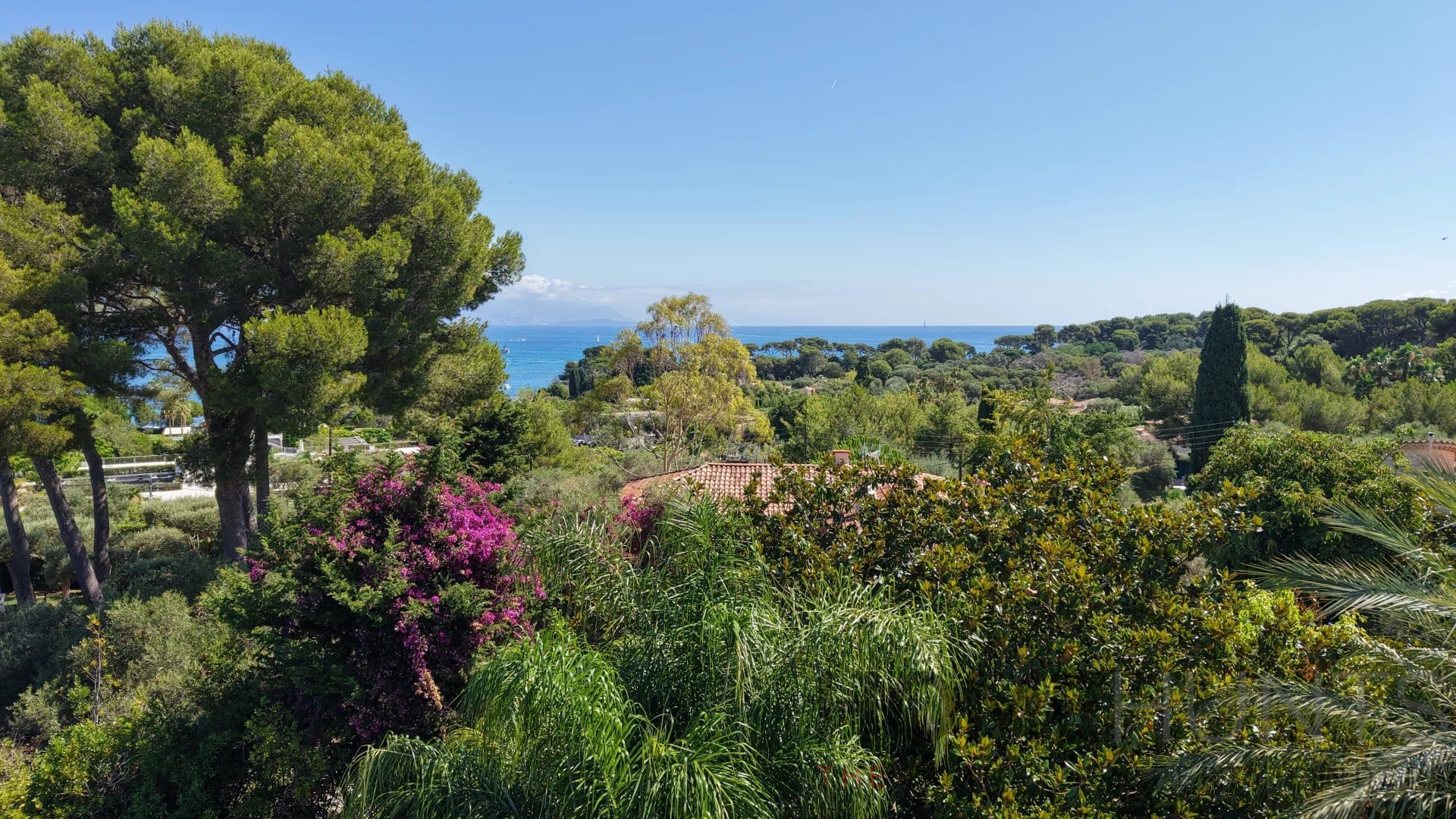 property_HH-16135425-3