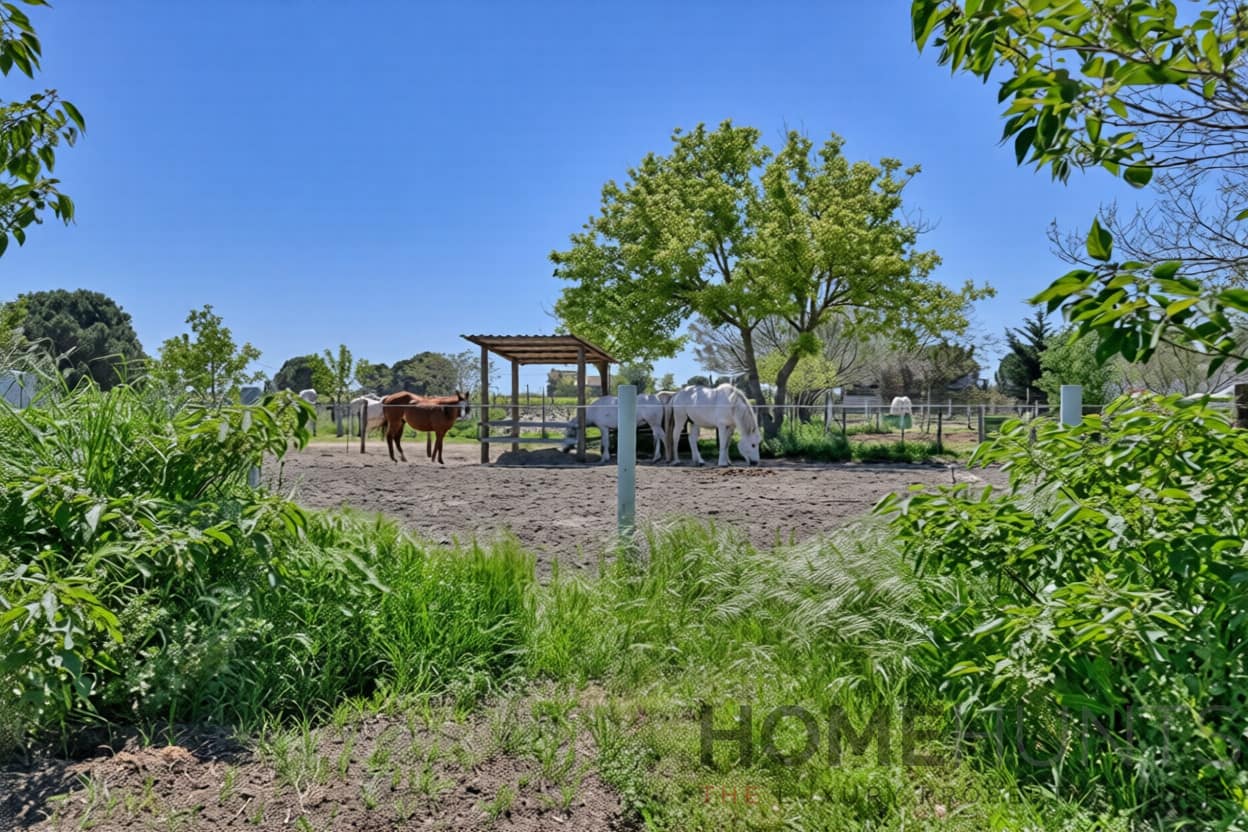 property_HH-16161443-2