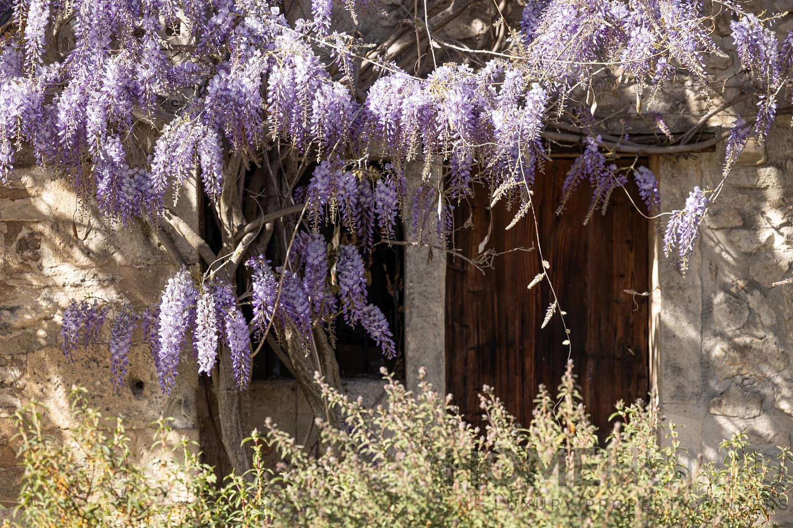 property_HH-15966806-22