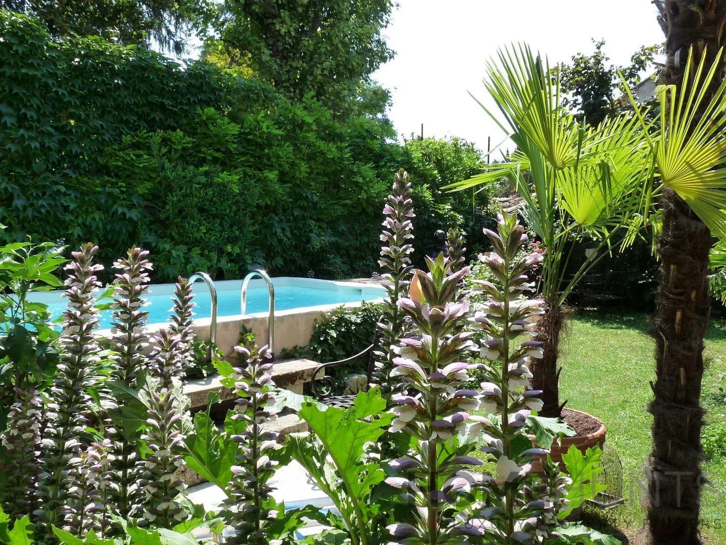 property_HH-16170521-3