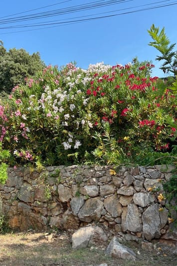 property_HH-16139828-16