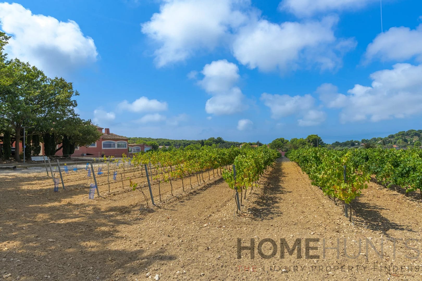 property_HH-15914936-21