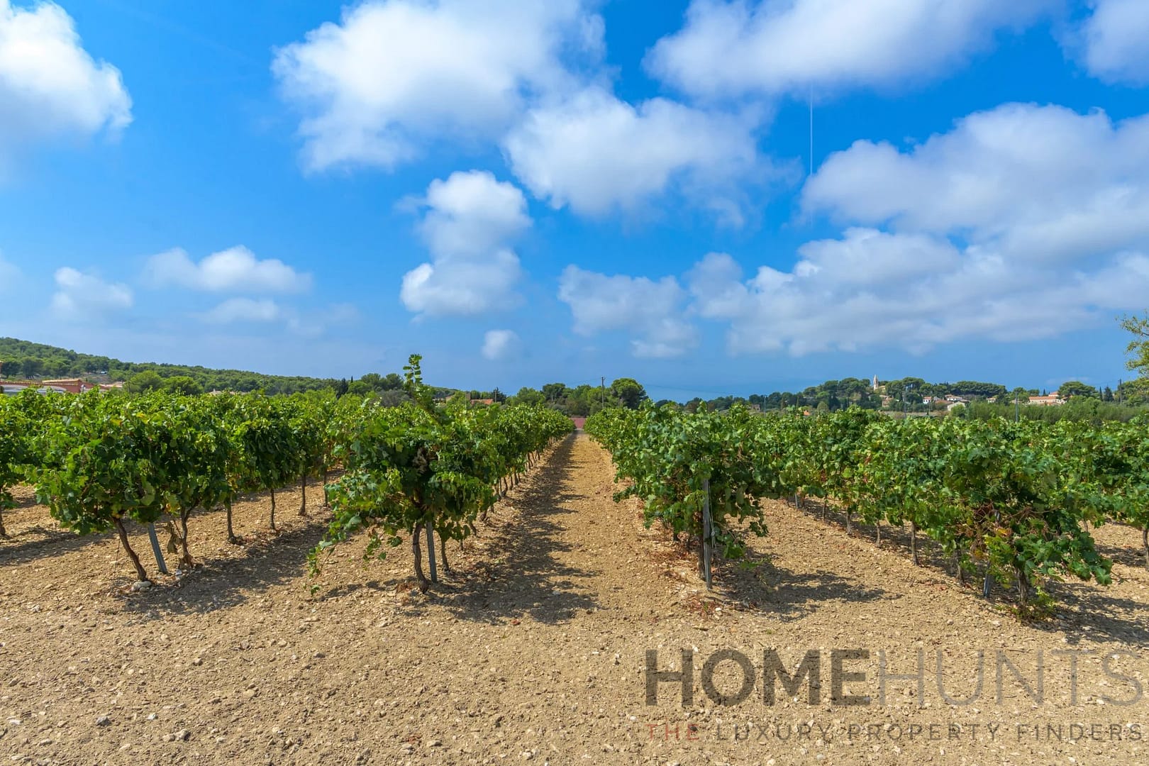 property_HH-15914936-22