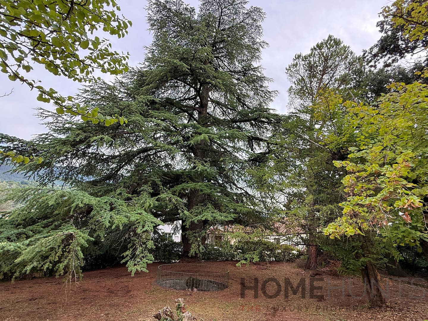 property_HH-15921033-12