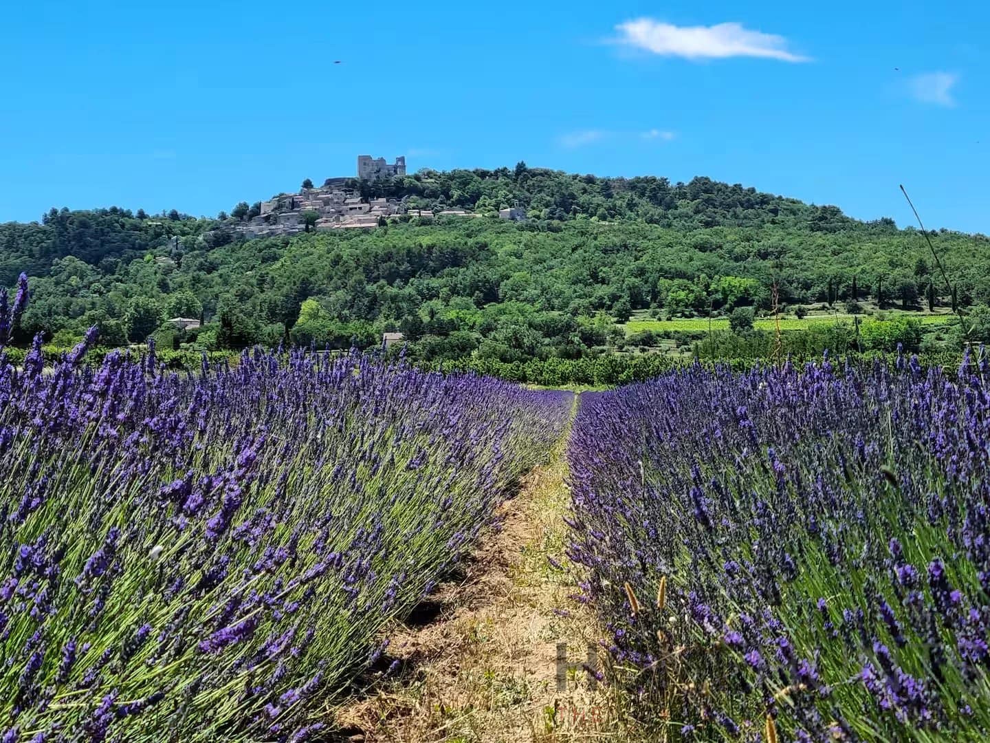 property_HH-16132549-28