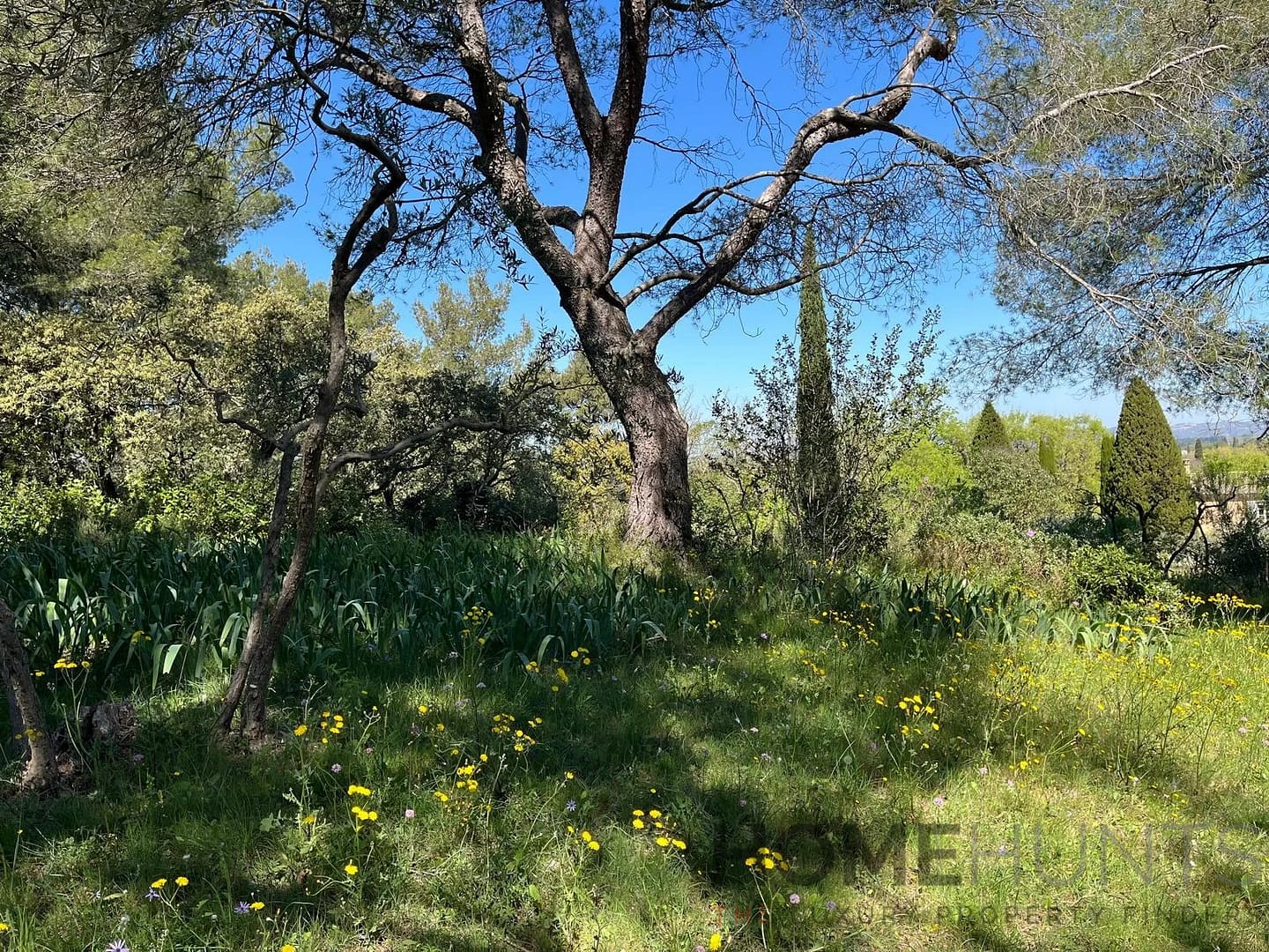 property_HH-16161017-21