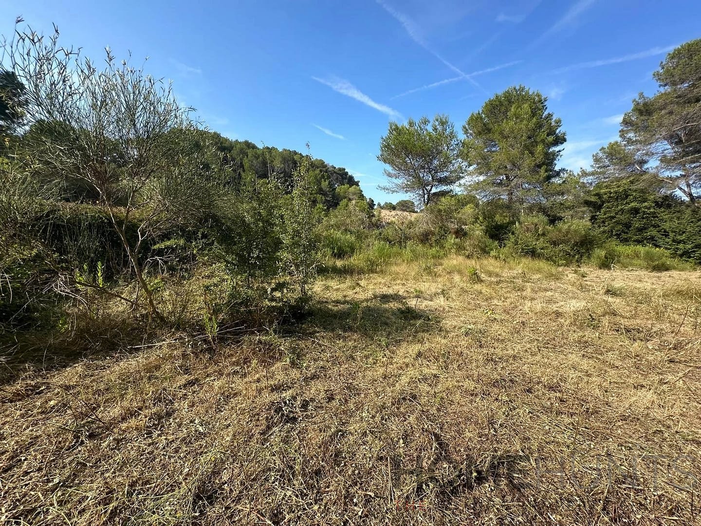 property_HH-16136505-4