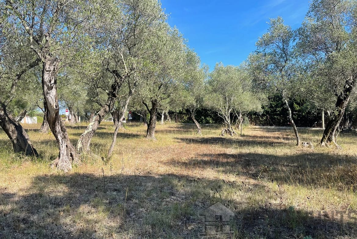 property_HH-15968456-2