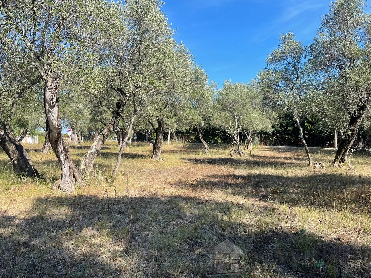 property_HH-15968456-2