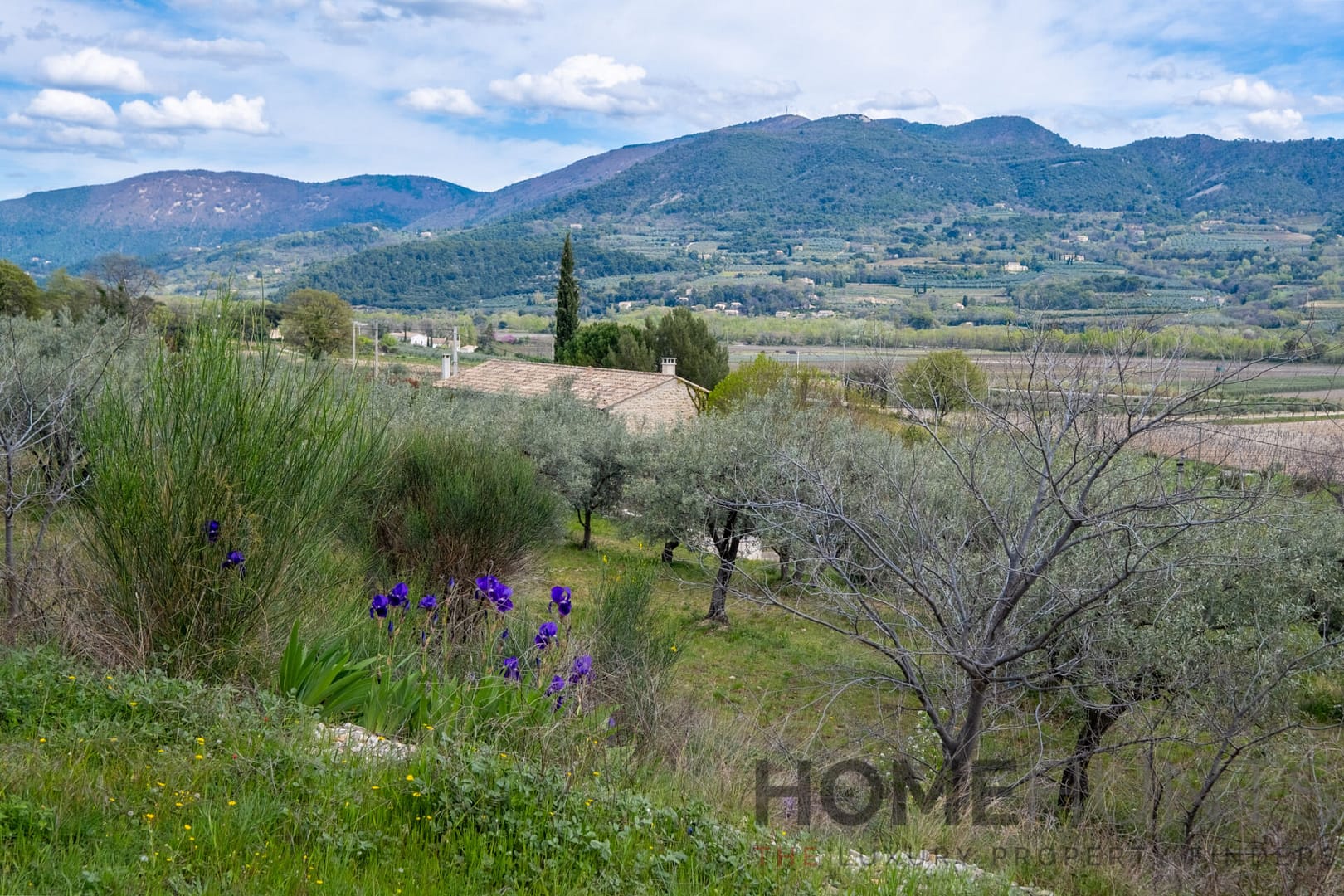 property_HH-16124870-7