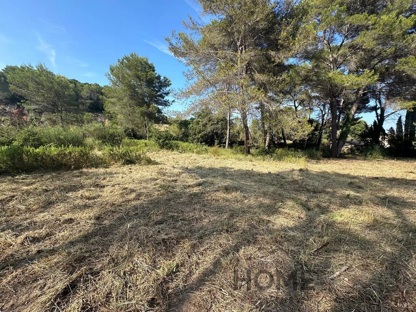 property_HH-16136505