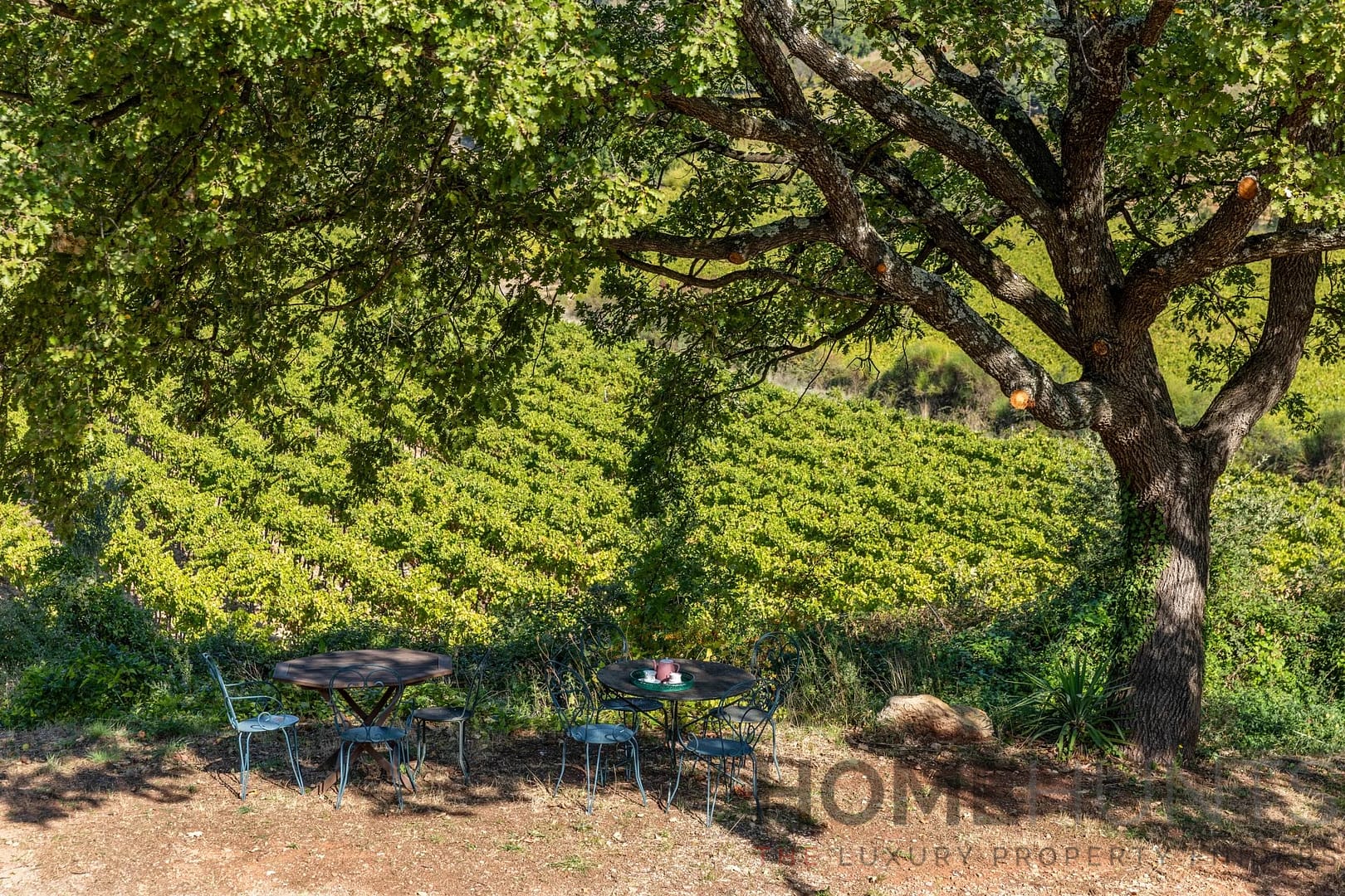 property_HH-16053010-17