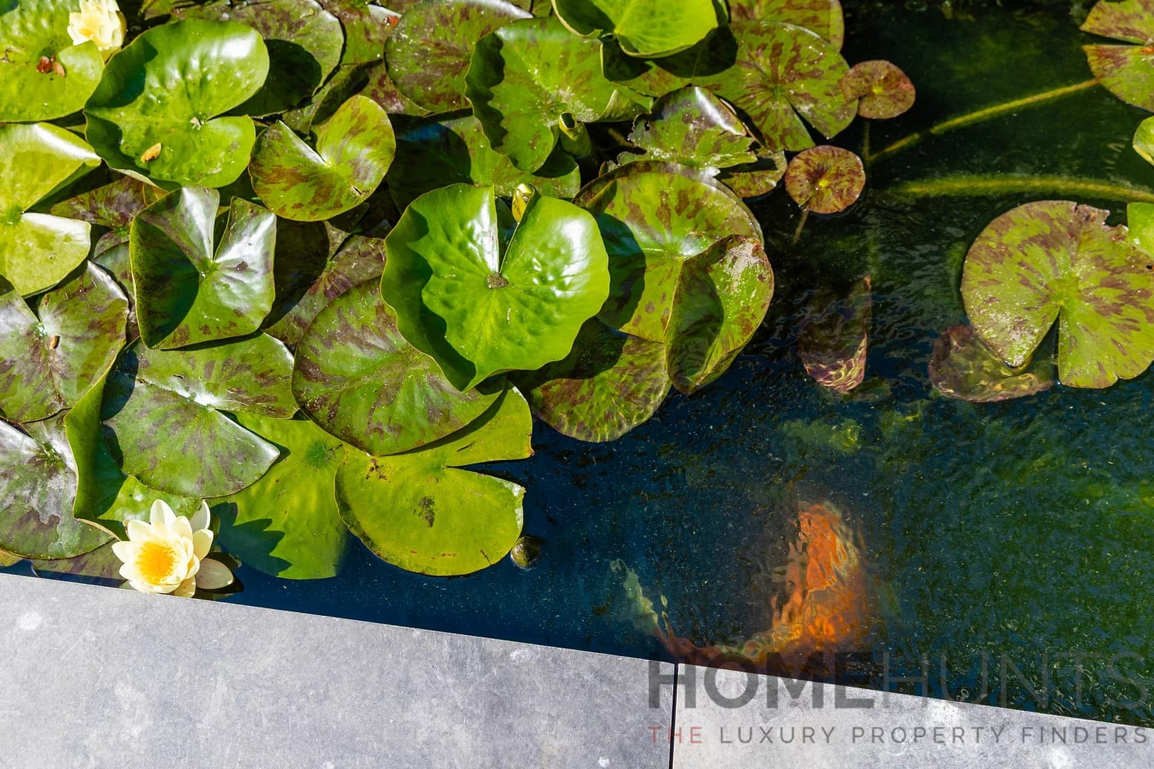 property_HH-16157714-20