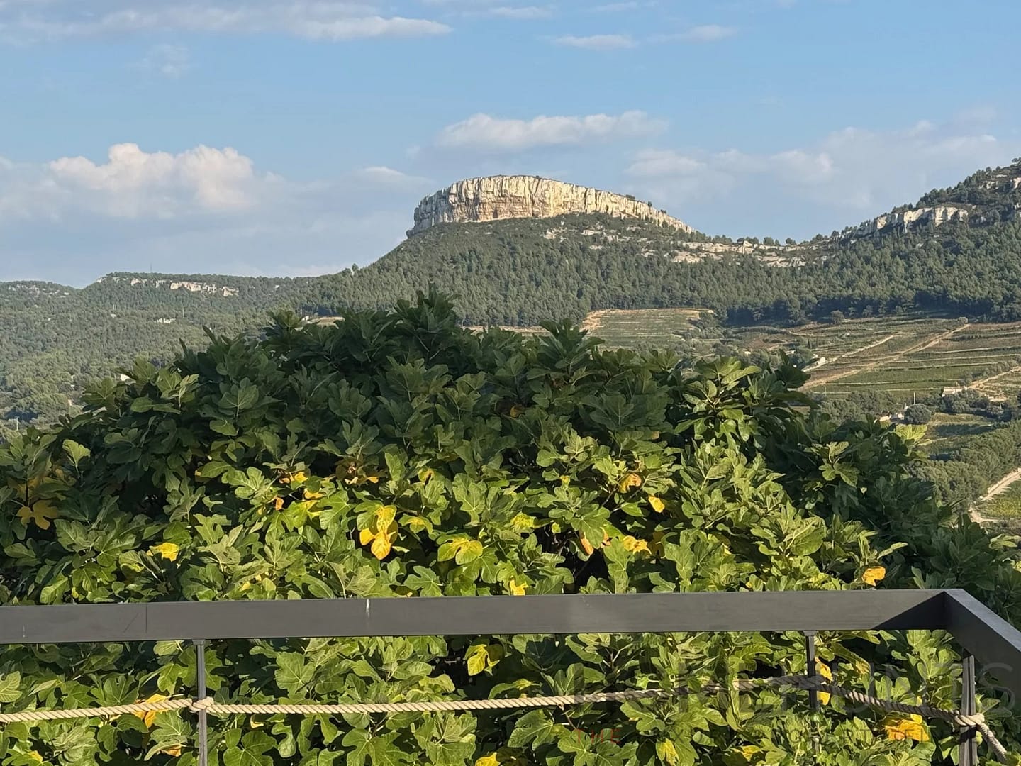 property_HH-16117892-3