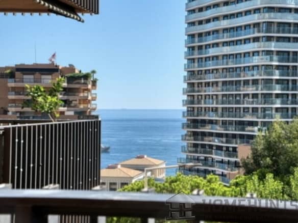 1 Bedroom Apartment in Monaco 2