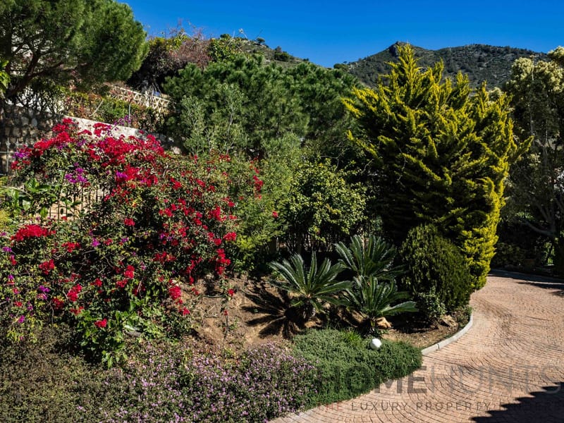 property_HH-16097682-24