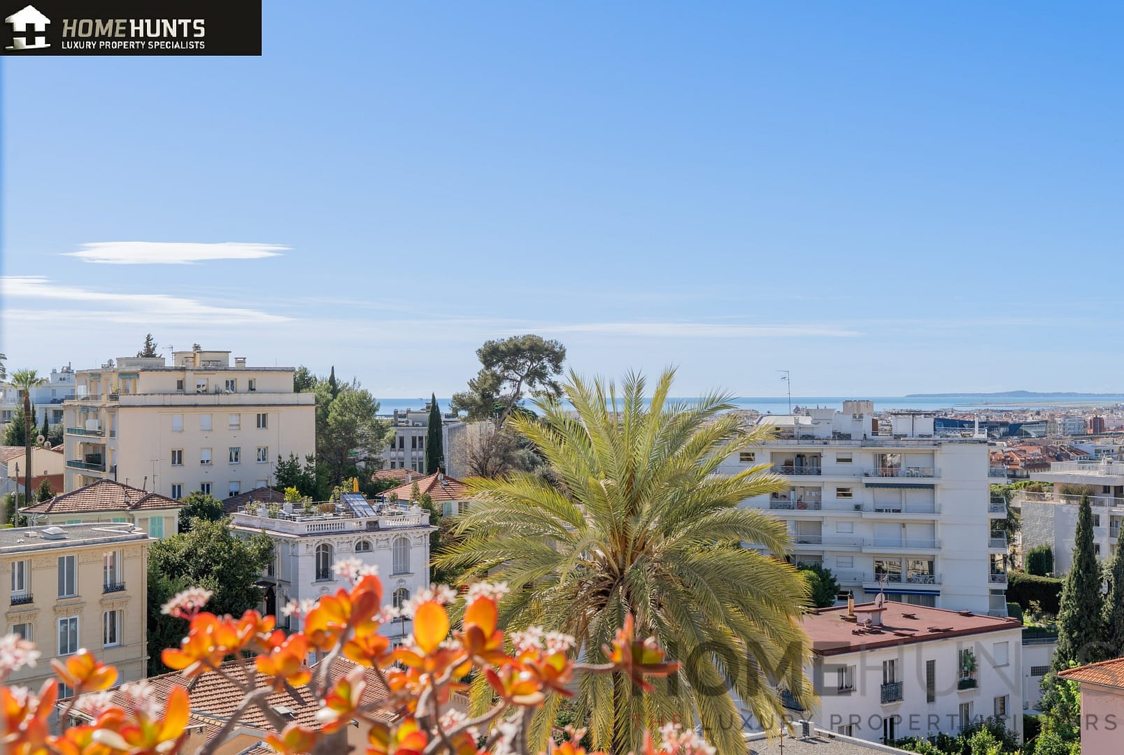 property_HH-16082697